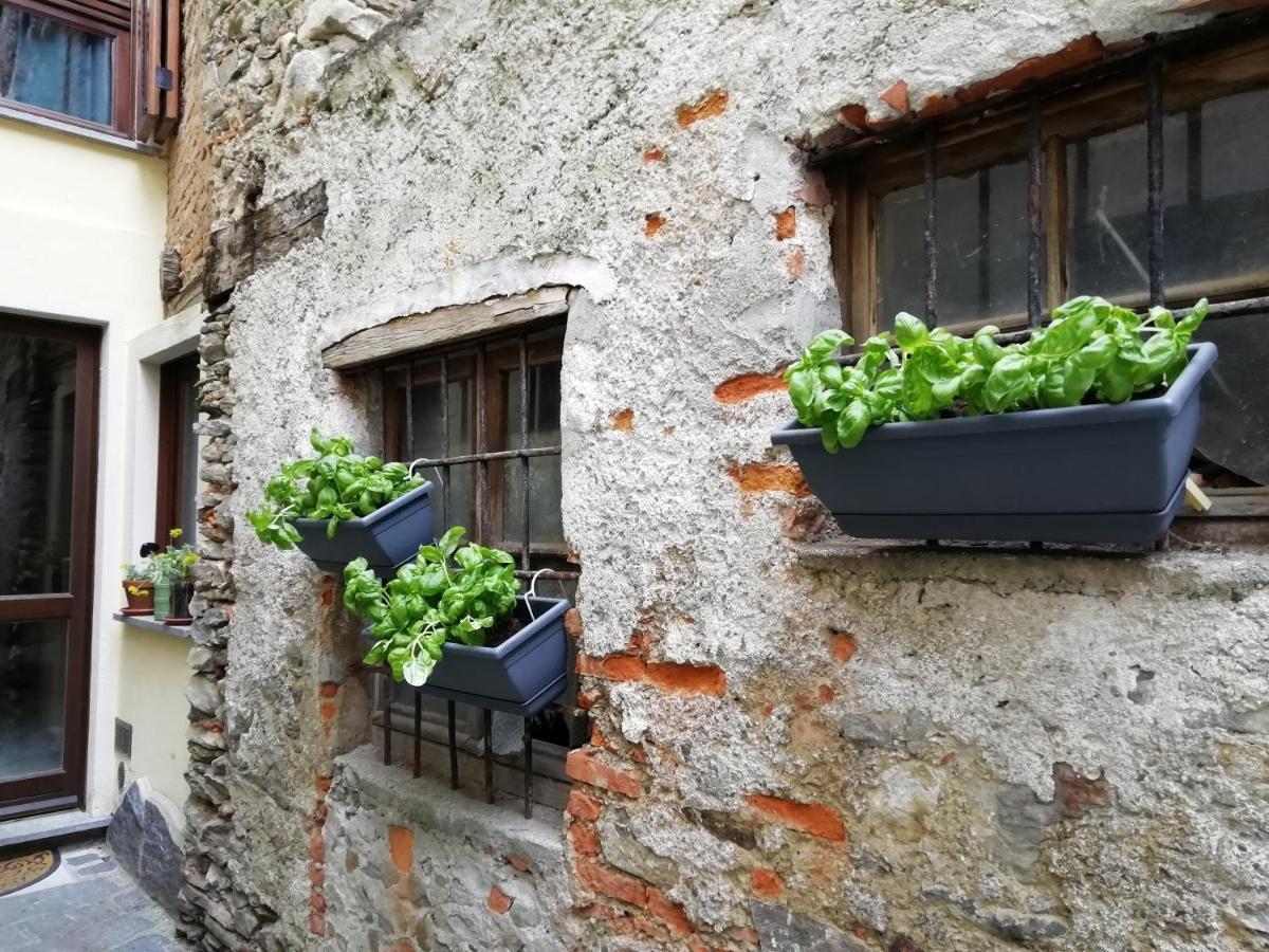 A Casa Di Sole Daire Brovello-Carpugnino Dış mekan fotoğraf